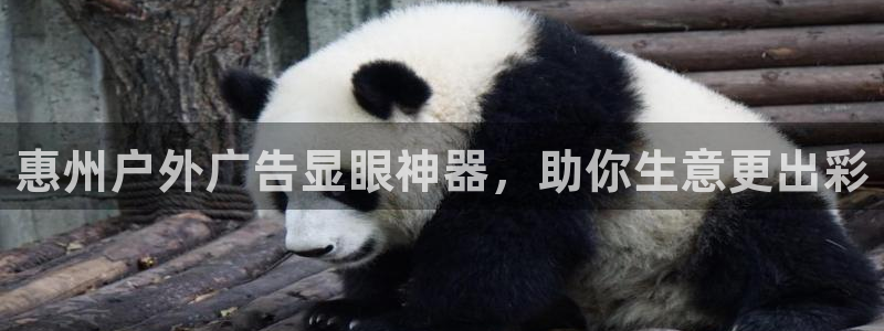 杏宇平台登录步骤图