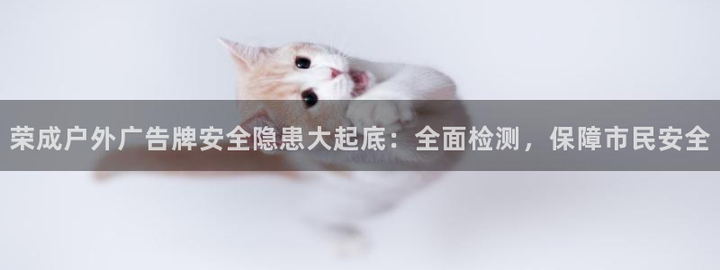 杏宇平台注册登录