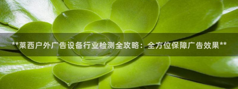 杏宇平台代理多少钱一次：**莱西户外广告设备行业检测全攻略：全方位保障广告效果**