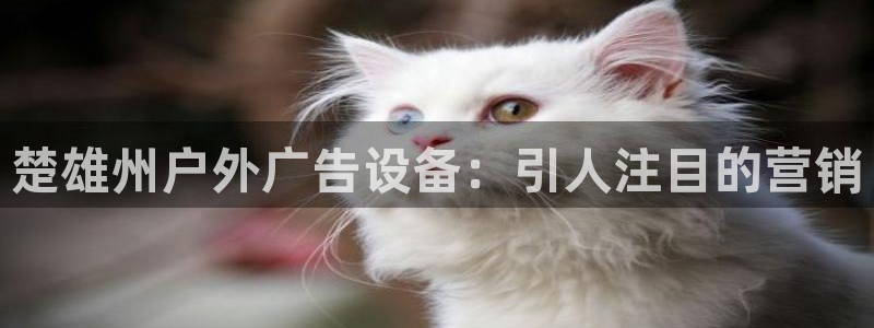 杏宇平台代理怎么赚钱的：楚雄州户外广告设备：引人注目的营销