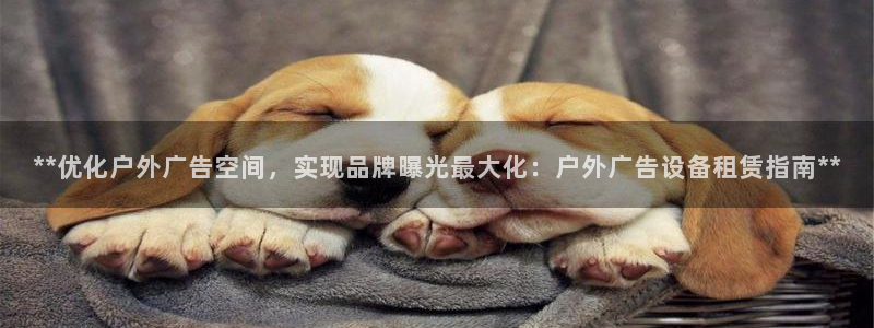 杏宇平台开户：**优化户外广告空间，实现品牌曝光最大化：户外广告设备租赁指南**