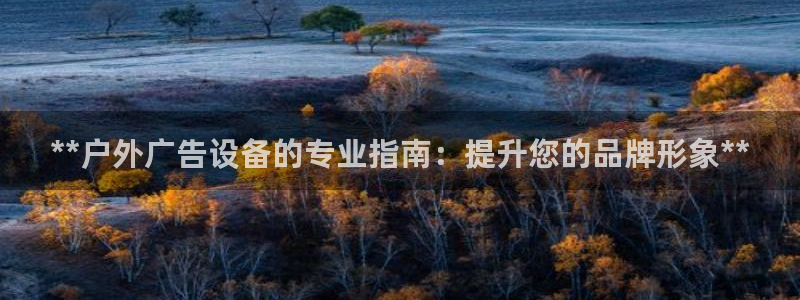 杏宇平台代理多少钱一个：**户外广告设备的专业指南：提升您的品牌形象**