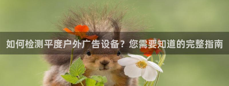 杏宇平台登录步骤是什么