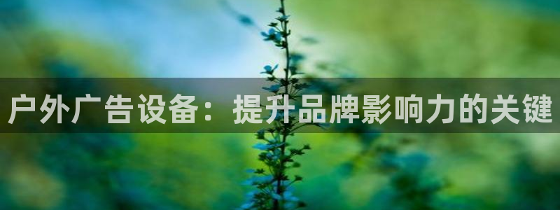 杏宇平台代理