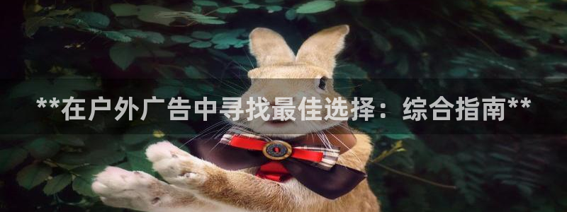 杏宇官方平台官网：**在户外广告中寻找最佳选择：综合指南**