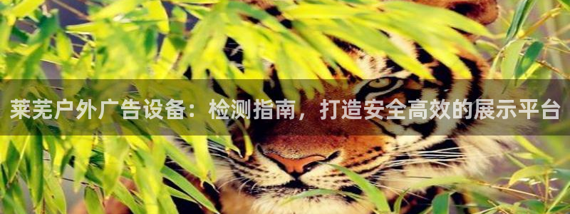 杏宇平台总代理是谁