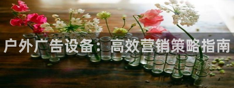 杏宇平台代理