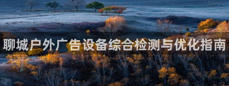 杏宇平台怎么样赚钱：聊城户外广告设备综合检测与优化指南