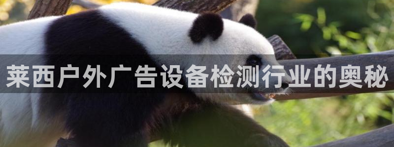 杏宇平台代理多少钱一个月