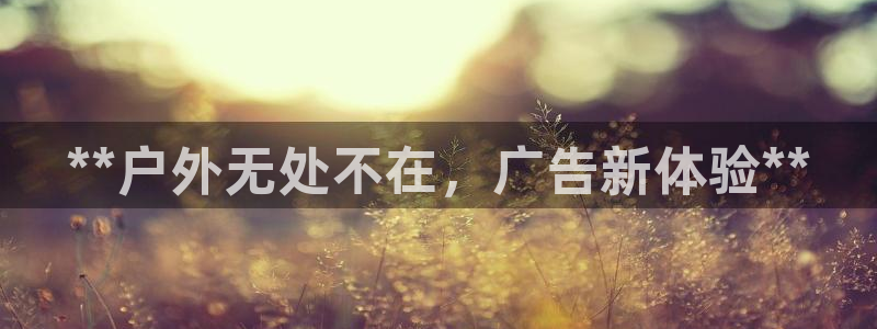 杏宇平台怎么样赚钱