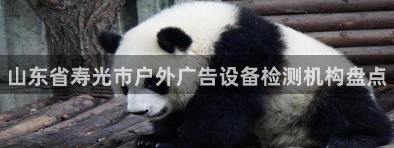杏宇平台登陆