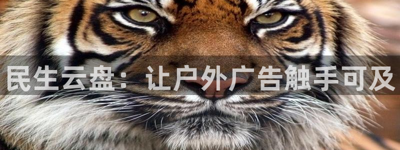 杏宇平台代理多少钱一个月
