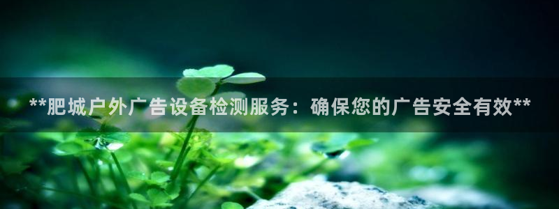 杏宇平台招商：**肥城户外广告设备检测服务：确保您的广告安全有效**