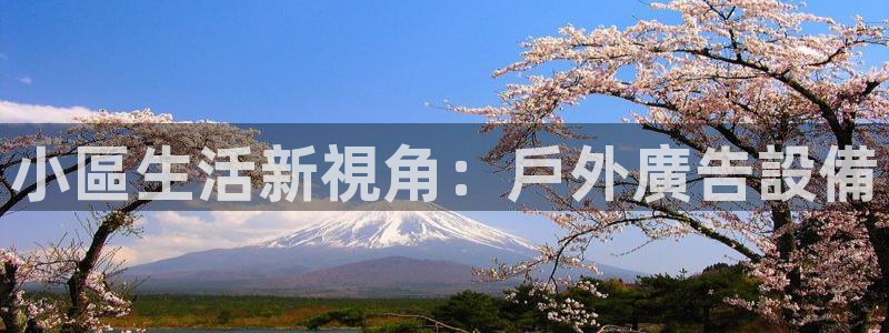 杏宇平台代理多少钱一个