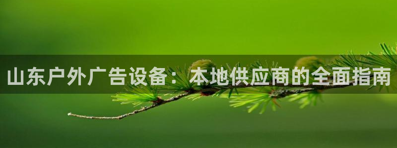 杏宇平台代理怎么赚钱的：山东户外广告设备：本地供应商的全面指南