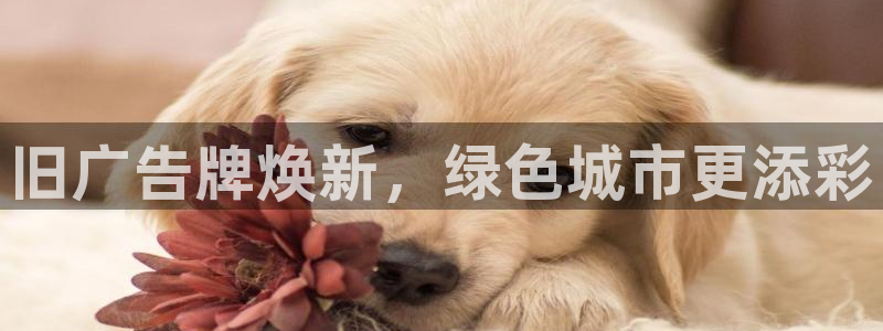 杏宇平台官网注册