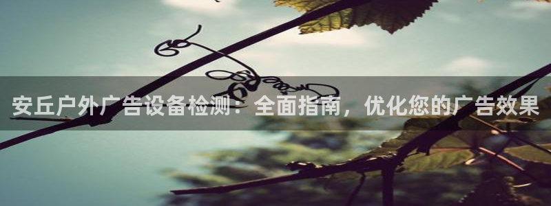 杏宇平台登陆：安丘户外广告设备检测：全面指南，优化您的广告效果