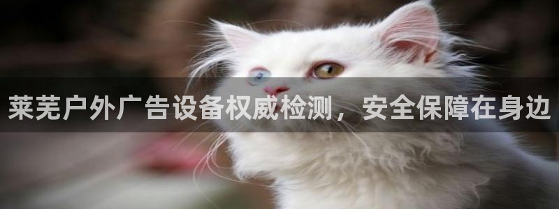 杏宇平台登录步骤图