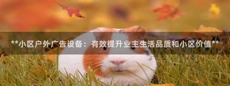 杏宇平台好吗：**小区户外广告设备：有效提升业主生活品质和小区价值**