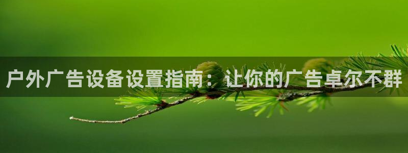 杏宇平台是什么