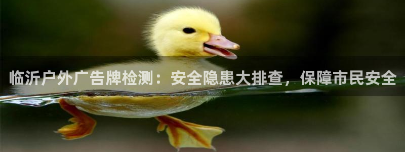 杏宇平台代理怎么赚钱