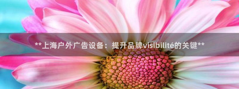 杏宇平台是什么：**上海户外广告设备：提升品牌visibilité的关键**