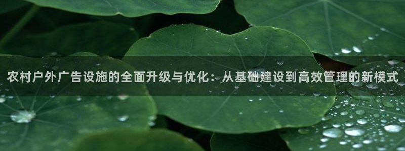 杏宇平台总代理电话：农村户外广告设施的全
