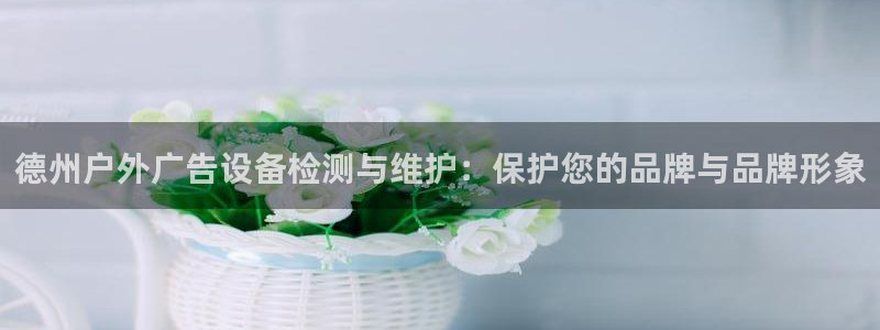 杏宇平台代理怎么样