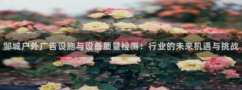 杏宇代理注册：邹城户外广告设施与设备质量检测：行业的未来机遇与挑战