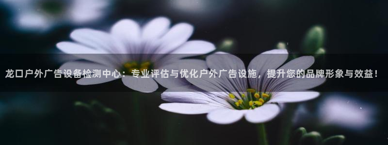 杏宇平台总代理是谁：龙口户外广告设备检测