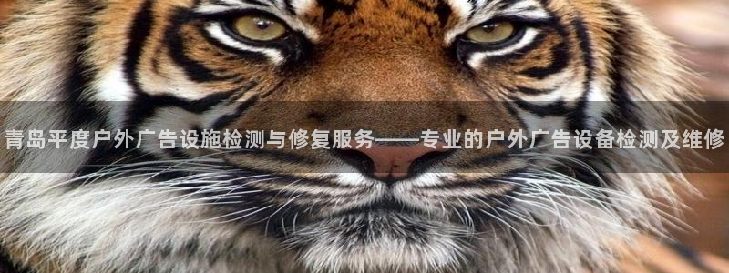 杏宇平台代理怎么赚钱快