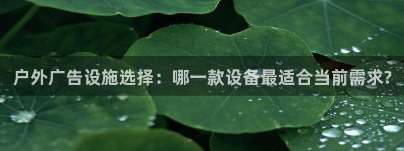 杏宇平台代理多少钱一个月