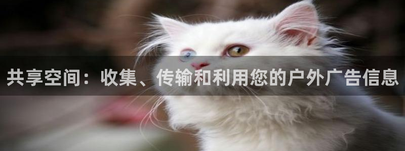 杏宇平台代理多少钱一个月：共享空间：收集