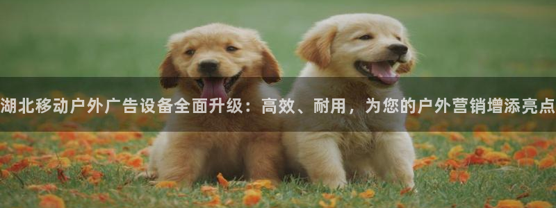 杏宇平台代理多少钱一次