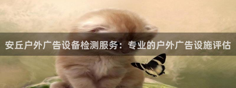 杏宇平台总代理电话：安丘户外广告设备检测