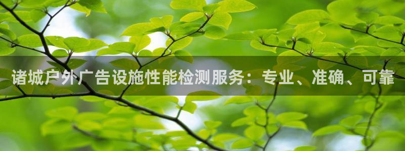 杏宇平台代理怎么样可靠吗：诸城户外广告设施性能检测服务：专业、准确、可靠