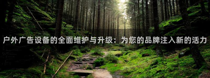 杏宇平台代理怎么赚钱：户外广告设备的全面