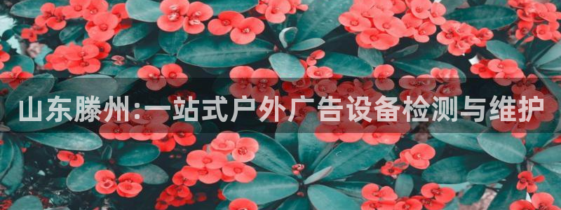 杏宇平台代理怎么样可靠吗：山东滕州:一站式户外广告设备检测与维护
