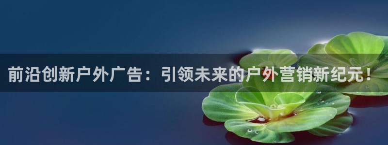 杏宇平台注册地址：前沿创新户外广告：引领未来的户外营销新纪元！