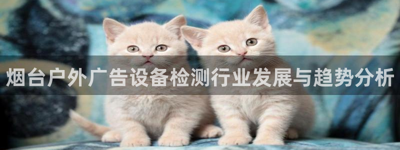 杏宇官方平台官网入口：烟台户外广告设备检测行业发展与趋势分析