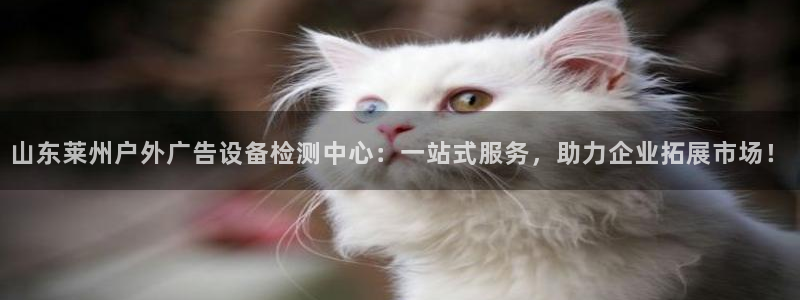 杏宇平台怎么样知乎：山东莱州户外广告设备检测中心：一站式服务，助力企业拓展市场！