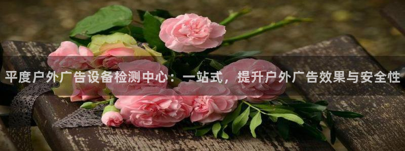 杏宇平台代理怎么样啊：平度户外广告设备检测中心：一站式，提升户外广告效果与安全性
