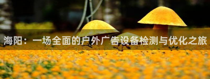 杏宇平台代理：海阳：一场全面的户外广告设备检测与优化之旅