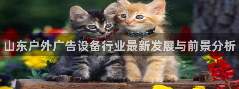 杏宇平台代理怎么样：山东户外广告设备行业最新发展与前景分析
