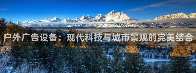 杏宇平台开户：户外广告设备：现代科技与城