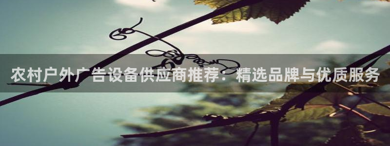 杏宇官方平台官网：农村户外广告设备供应商推荐：精选品牌与优质服务