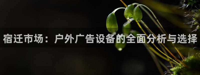 杏宇平台怎么样知乎：宿迁市场：户外广告设