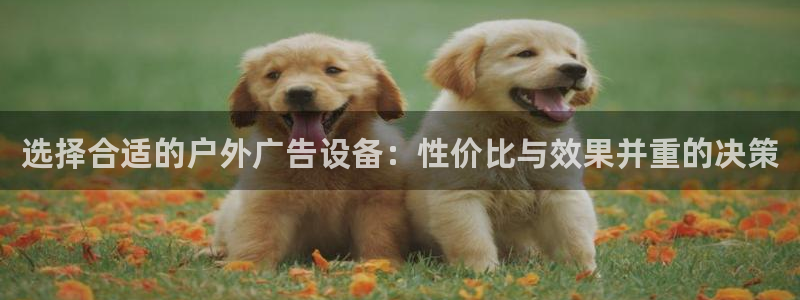 杏宇平台官网注册：选择合适的户外广告设备