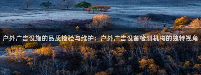 杏宇平台总代理是谁：户外广告设施的品质检验与维护：户外广告设备检测机构的独特视角