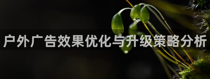 杏宇平台是什么：户外广告效果优化与升级策